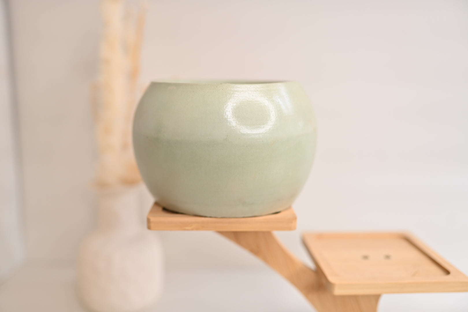 Unique Bowl Planter