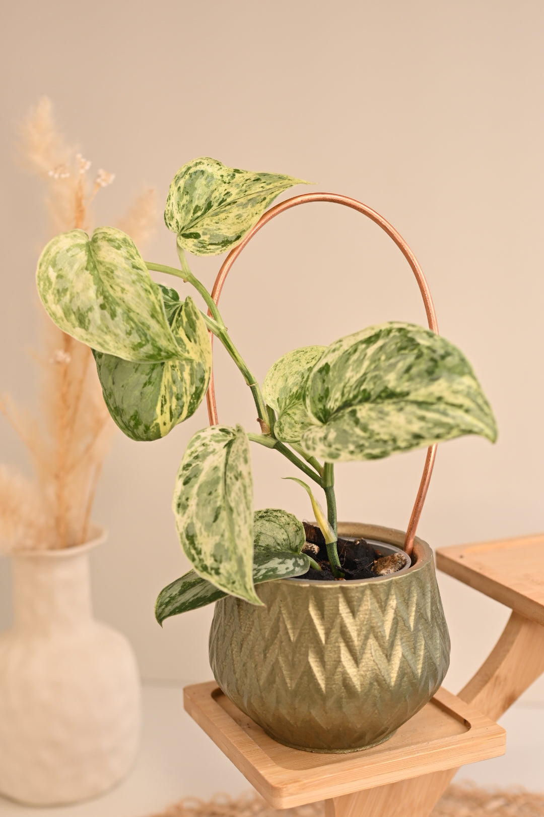 Simple Copper Plant Trellis