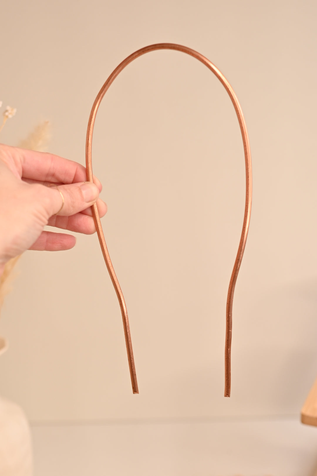 Simple Copper Plant Trellis