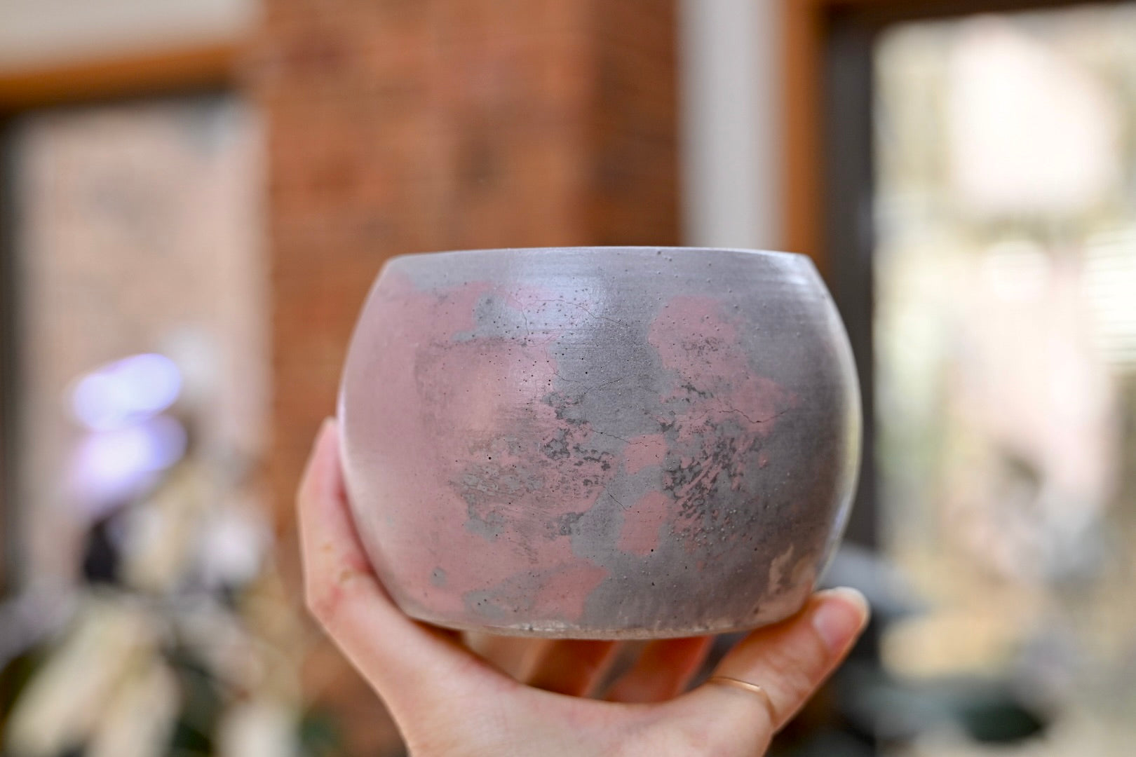 Unique Bowl Planter