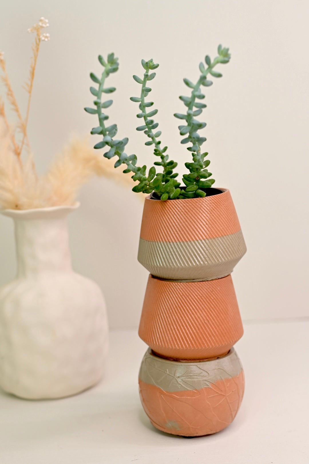 Unique Bowl Planter