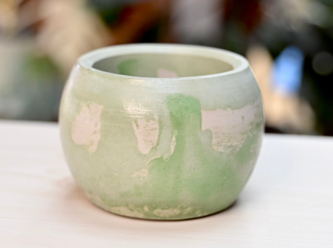 Unique Bowl Planter