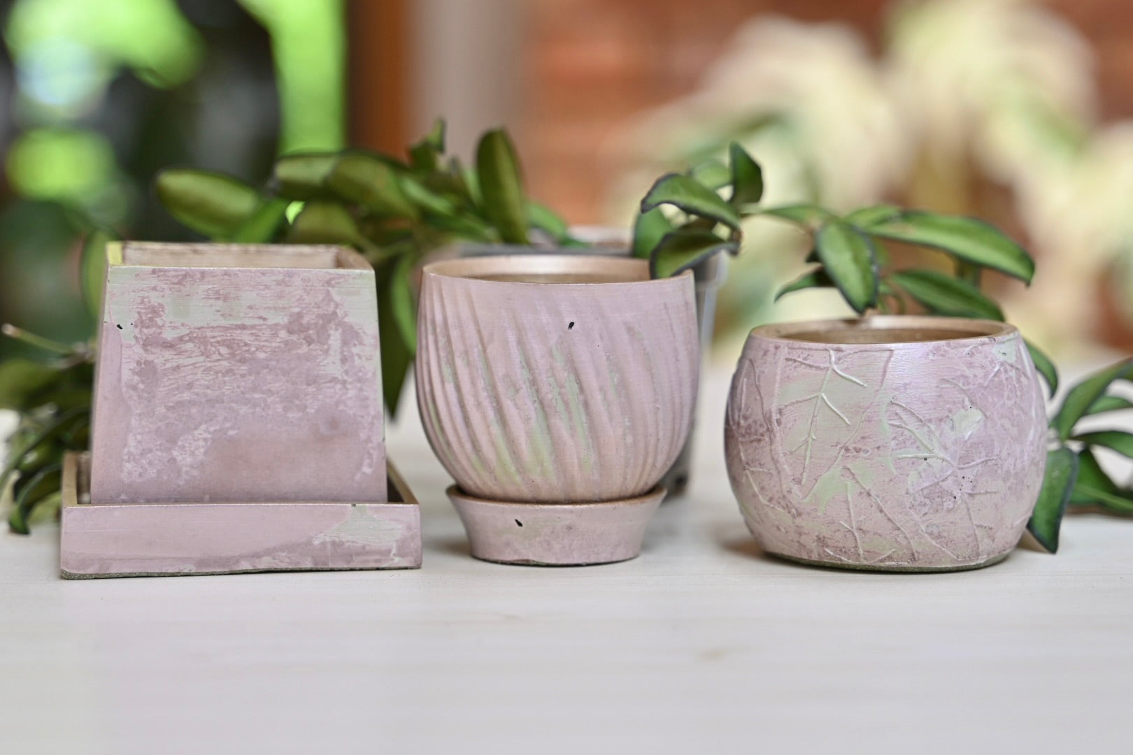 Unique Leaf Bowl Planter