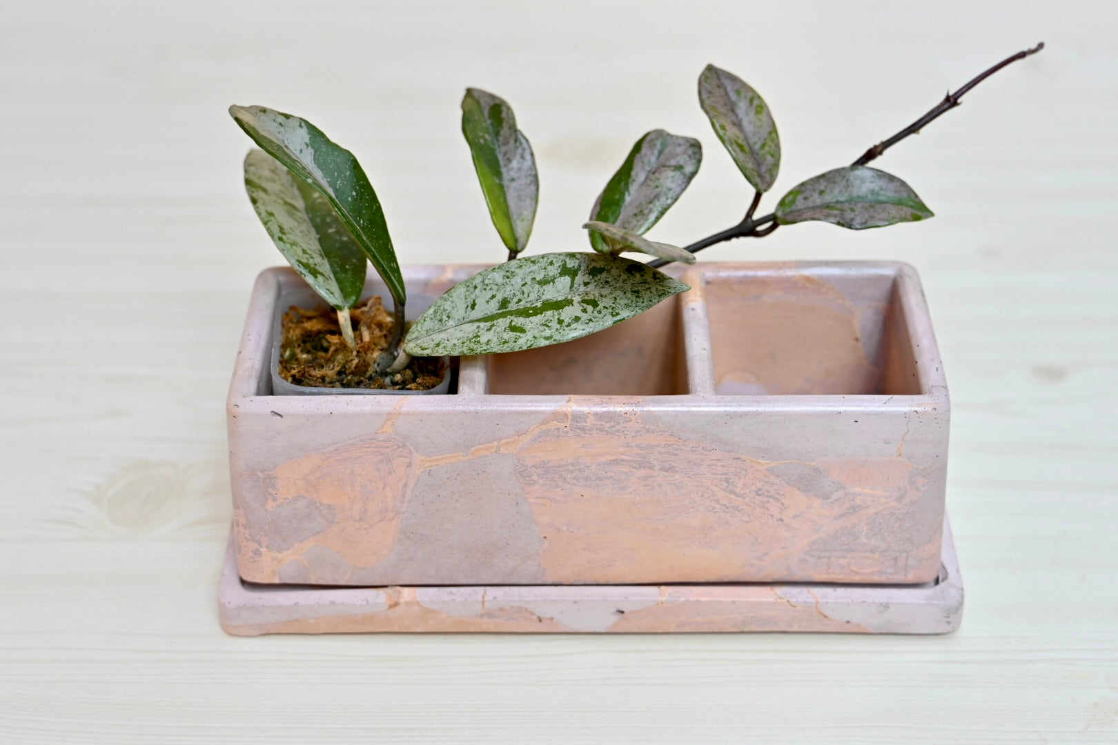 Unique Windowsill Planter + Saucer