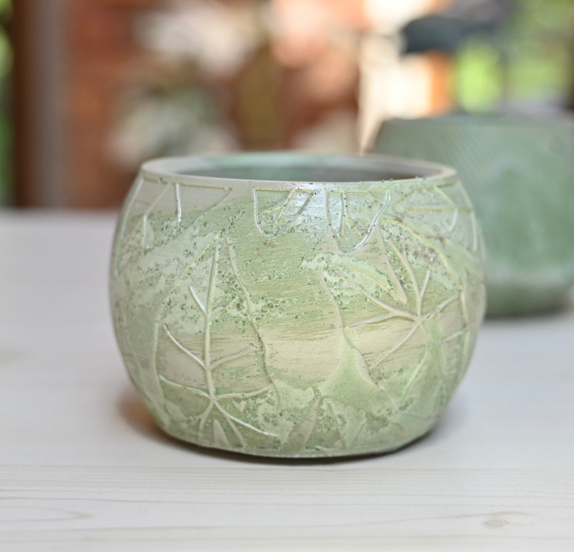 Unique Leaf Bowl Planter