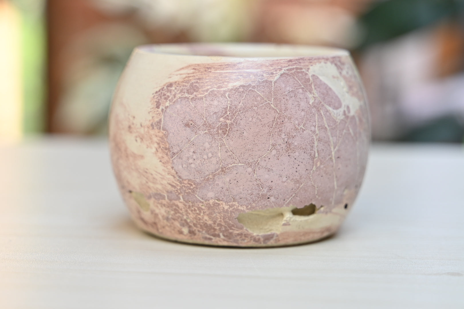Unique Bowl Planter