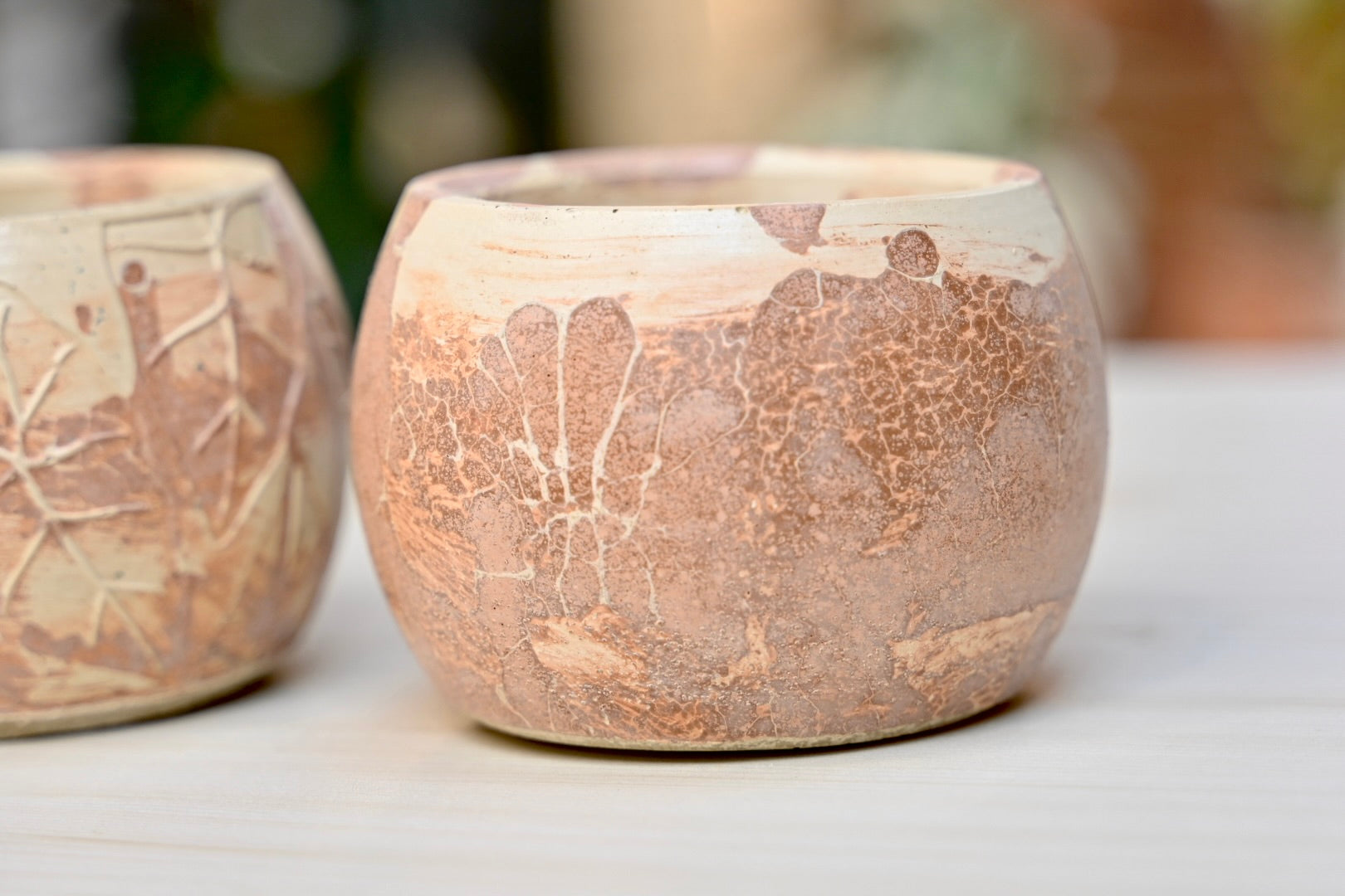 Unique Bowl Planter