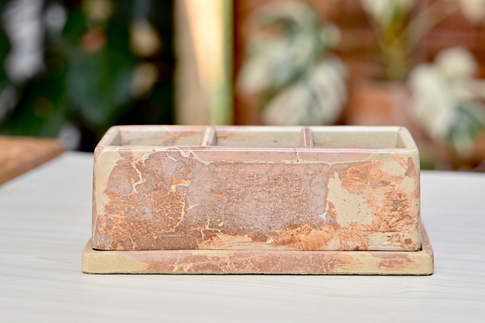 Unique Windowsill Planter + Saucer