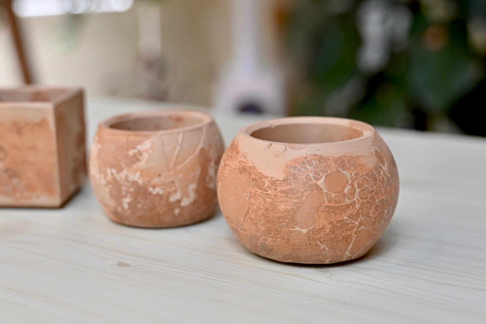 Unique Bowl Planter