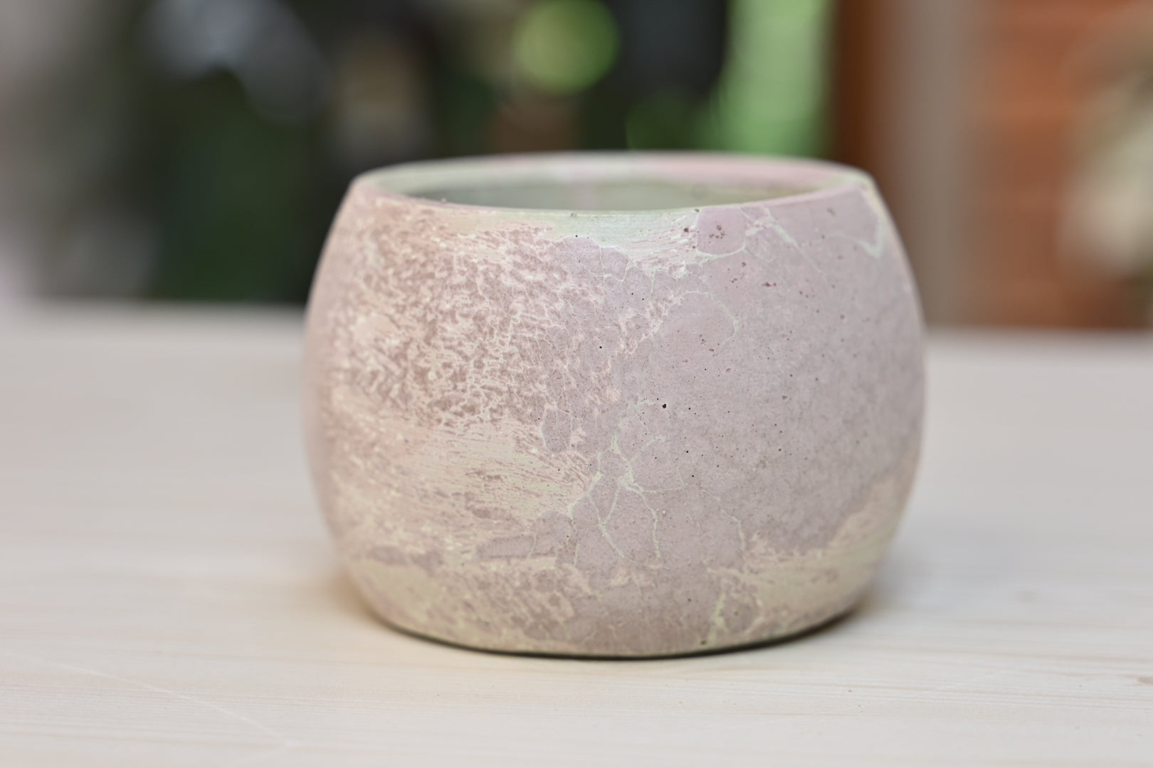 Unique Bowl Planter