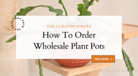 how to order wholesale plant pots