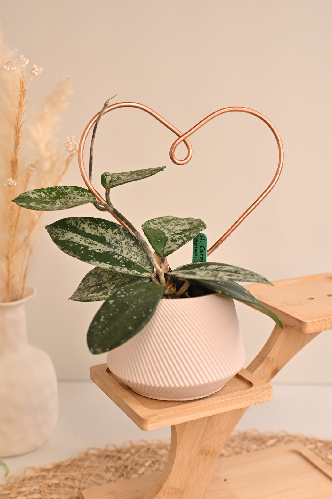 Plant Accessories