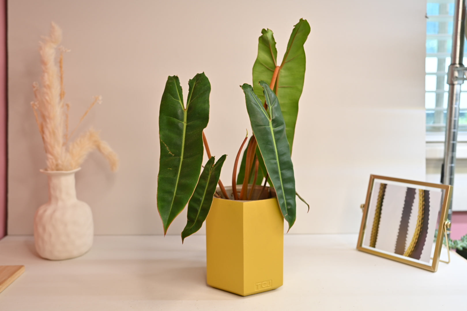 Hexagon Pot