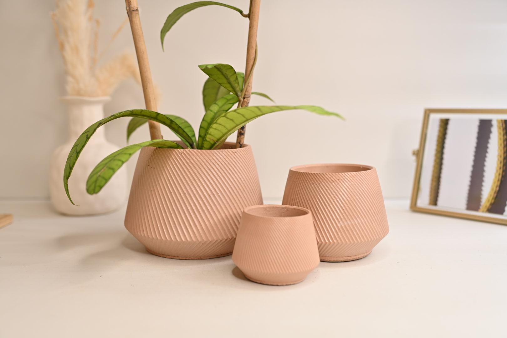 Rota Pot