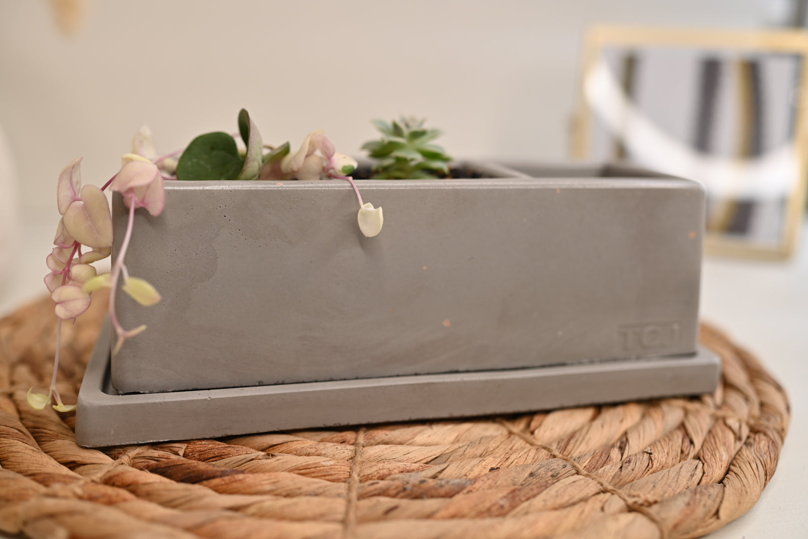 Windowsill Planter