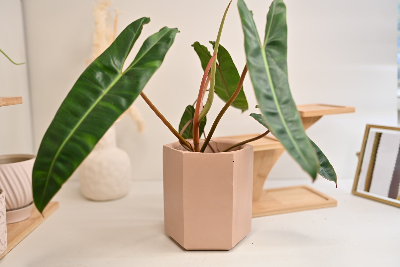 Hexagon Pot