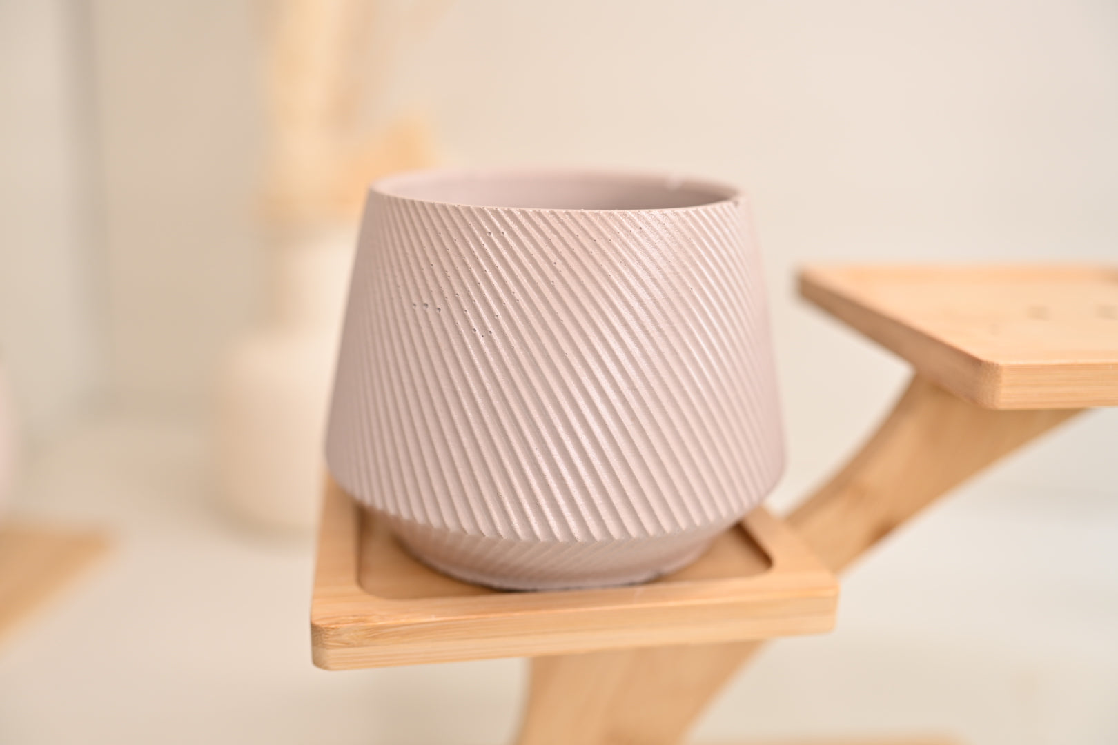 Rota Pot