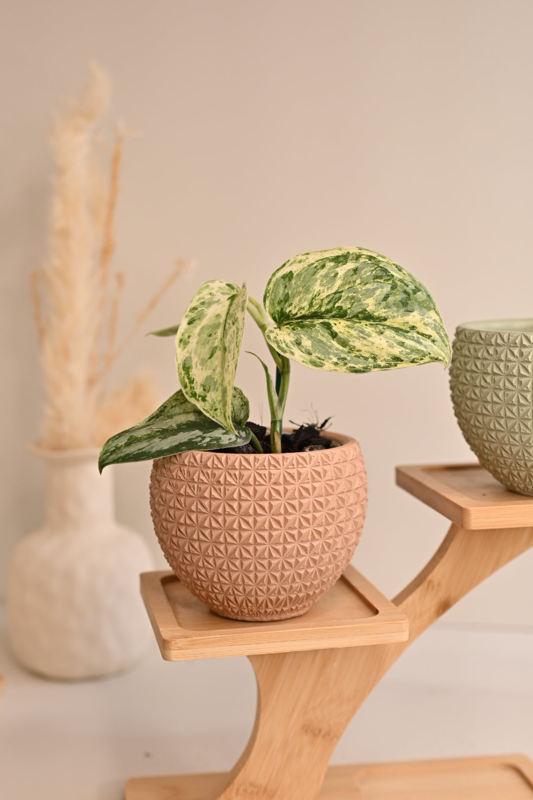 Geo Bowl Planter
