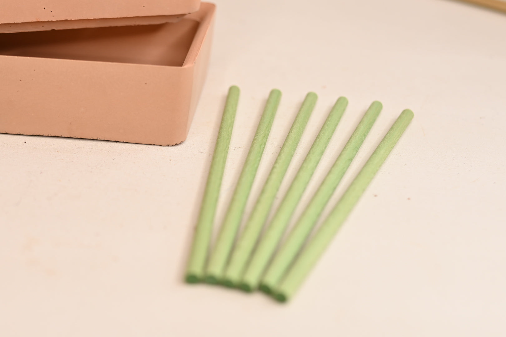 Magic Plant Wick Sticks 10-Pack