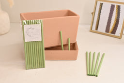 Magic Plant Wick Sticks 10-Pack