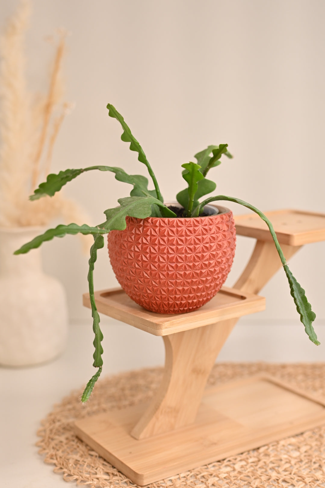 Geo Bowl Planter