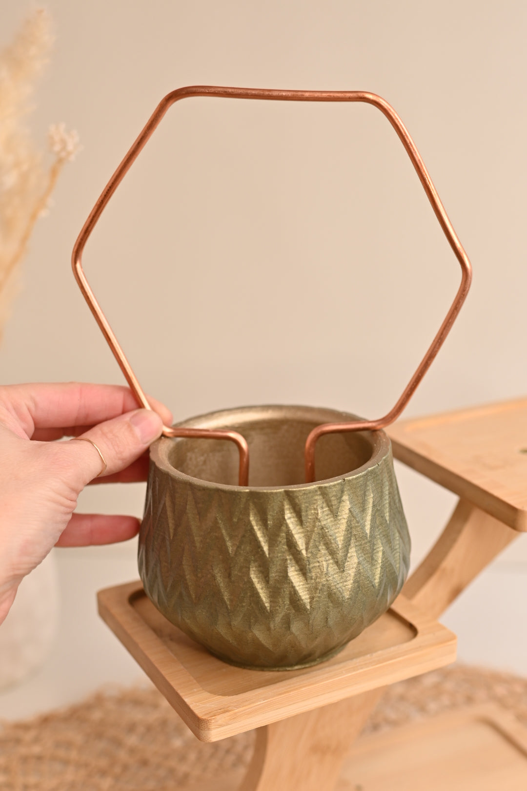 Hex Copper Plant Trellis