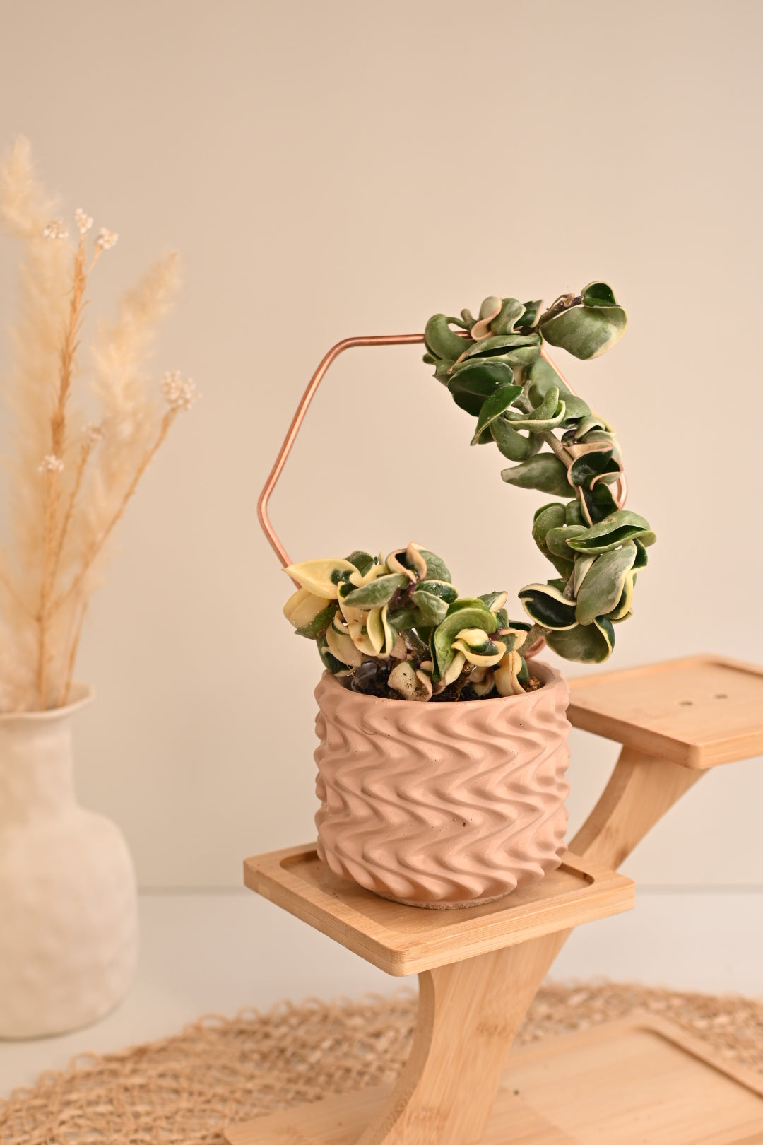 Hex Copper Plant Trellis