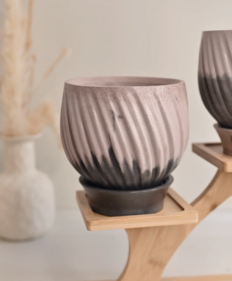 Unique Tulip + Saucer