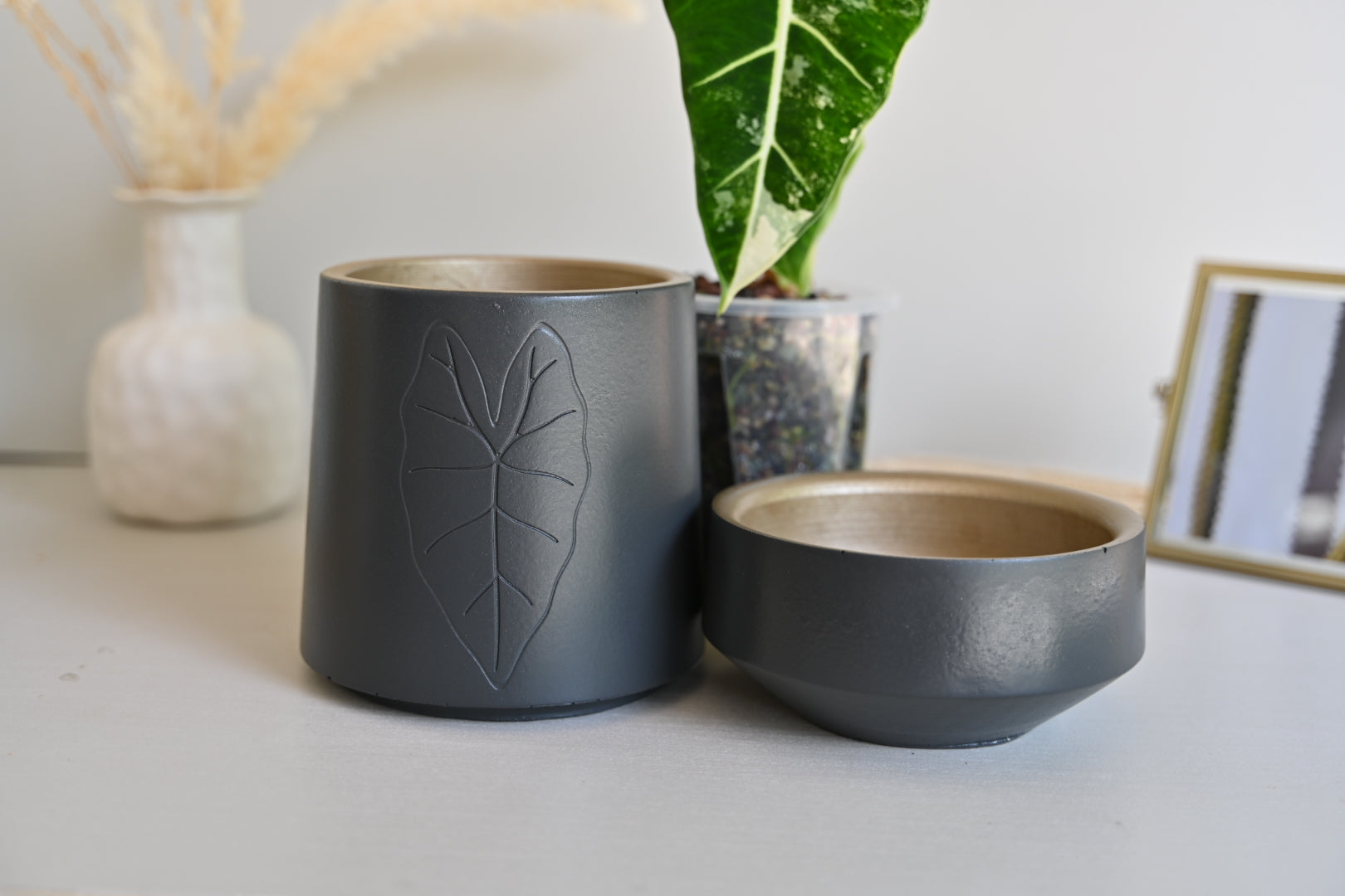 Tall Alocasia Pot - Self Watering Planter