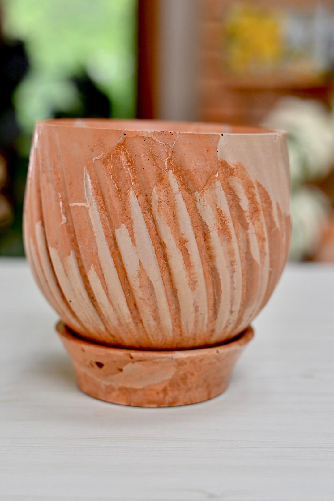 Unique Tulip + Saucer