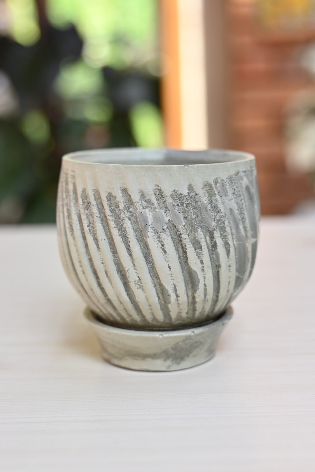 Unique Tulip + Saucer