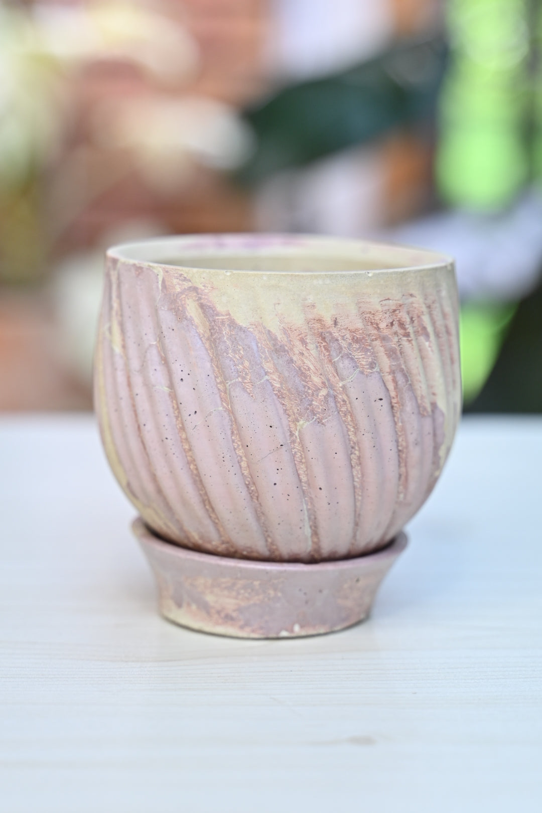 Unique Tulip + Saucer