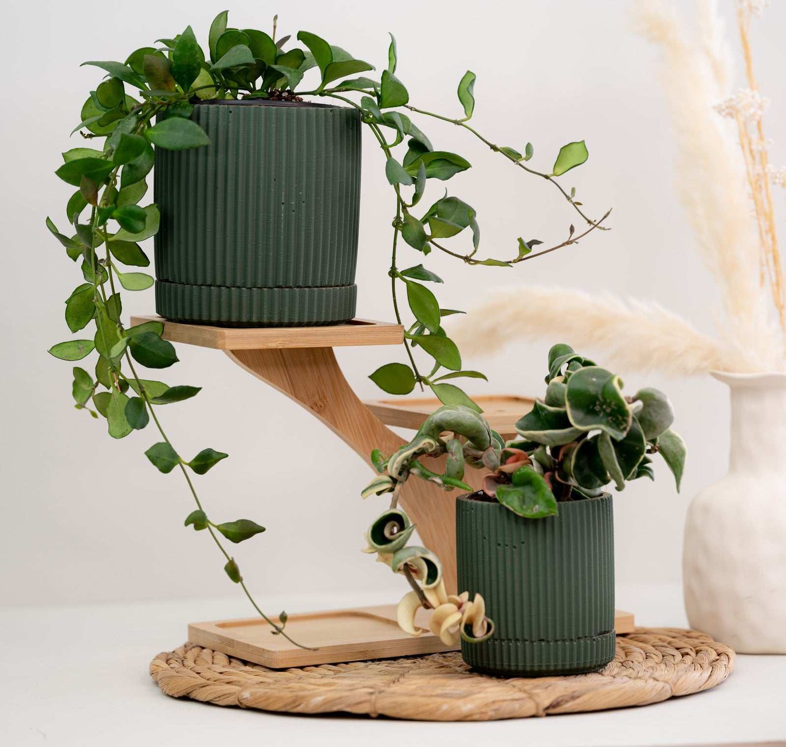 Ribbed Pot and Saucer